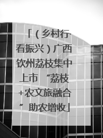 （乡村行·看振兴）广西钦州荔枝集中上市 “荔枝+农文旅融合”助农增收