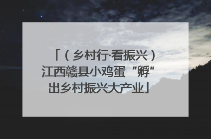 （乡村行·看振兴）江西赣县小鸡蛋“孵”出乡村振兴大产业