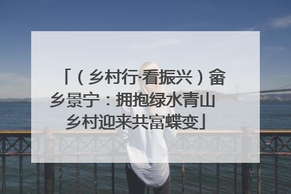 （乡村行·看振兴）畲乡景宁：拥抱绿水青山 乡村迎来共富蝶变