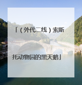 （外代二线）索斯托动物园的黑天鹅