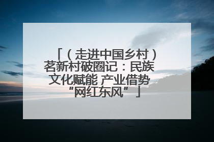 （走进中国乡村）茗新村破圈记：民族文化赋能 产业借势 “网红东风”