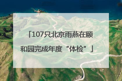 107只北京雨燕在颐和园完成年度“体检”