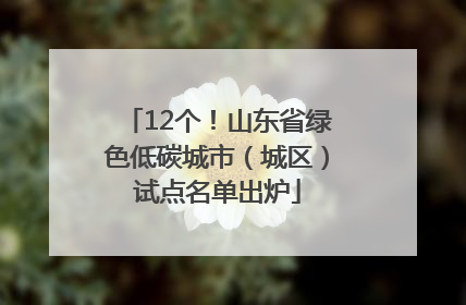 12个！山东省绿色低碳城市（城区）试点名单出炉