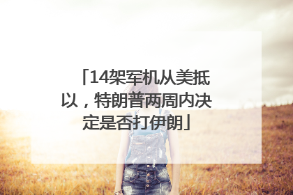 14架军机从美抵以，特朗普两周内决定是否打伊朗