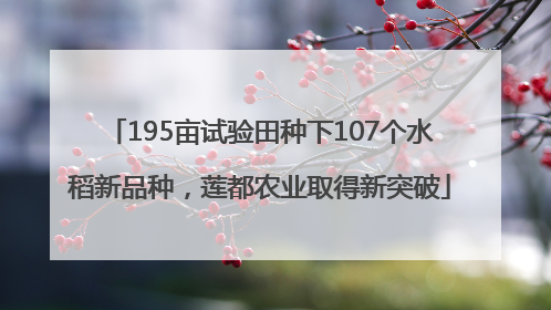 195亩试验田种下107个水稻新品种，莲都农业取得新突破