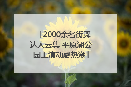 2000余名街舞达人云集 平原湖公园上演动感热潮