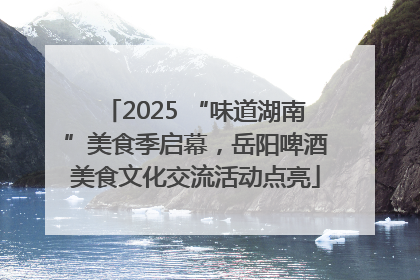 2025 “味道湖南”美食季启幕，岳阳啤酒美食文化交流活动点亮