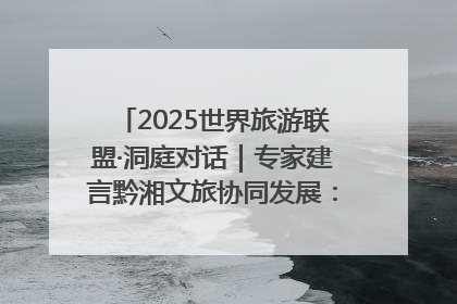 2025世界旅游联盟·洞庭对话｜专家建言黔湘文旅协同发展：聚焦产品稀缺性 深化区域经验共享