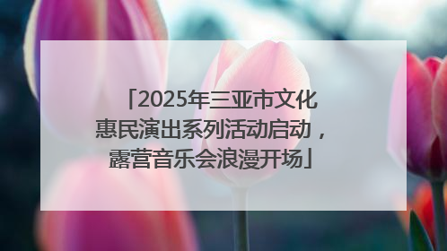 2025年三亚市文化惠民演出系列活动启动，露营音乐会浪漫开场