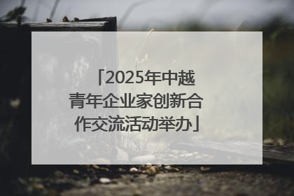 2025年中越青年企业家创新合作交流活动举办