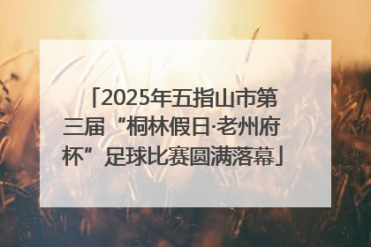 2025年五指山市第三届“桐林假日·老州府杯”足球比赛圆满落幕