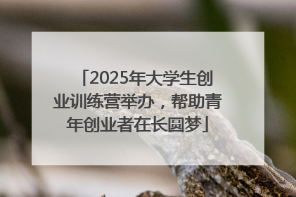 2025年大学生创业训练营举办，帮助青年创业者在长圆梦