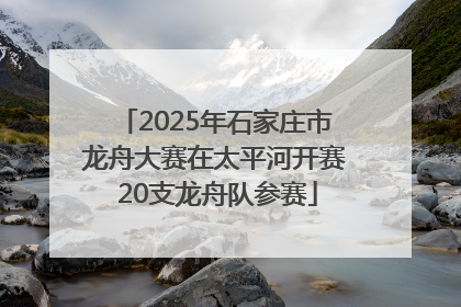 2025年石家庄市龙舟大赛在太平河开赛 20支龙舟队参赛