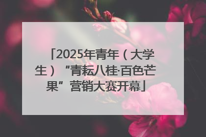 2025年青年（大学生）“青耘八桂·百色芒果”营销大赛开幕