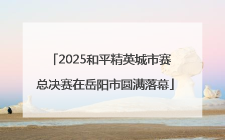 2025和平精英城市赛总决赛在岳阳市圆满落幕