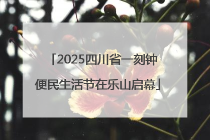 2025四川省一刻钟便民生活节在乐山启幕