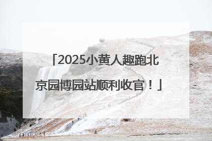 2025小黄人趣跑北京园博园站顺利收官！