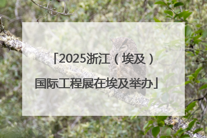 2025浙江（埃及）国际工程展在埃及举办