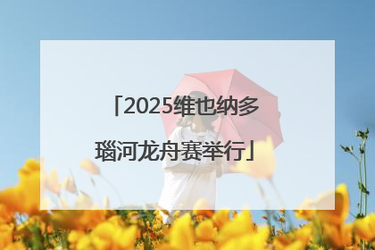 2025维也纳多瑙河龙舟赛举行