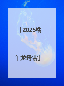 2025端午龙舟赛