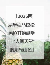2025西湖半程马拉松鸣枪开跑感受“人间天堂”的湖光山色