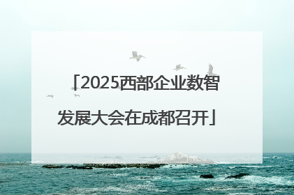 2025西部企业数智发展大会在成都召开