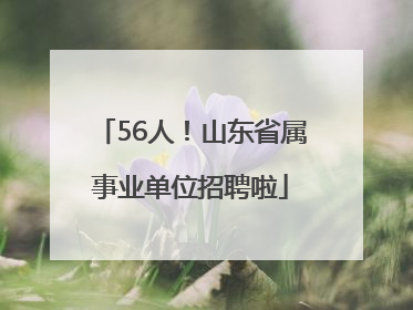 56人！山东省属事业单位招聘啦