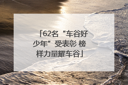 62名“车谷好少年”受表彰 榜样力量耀车谷