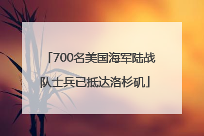700名美国海军陆战队士兵已抵达洛杉矶