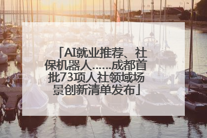 AI就业推荐、社保机器人……成都首批73项人社领域场景创新清单发布