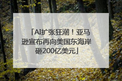 AI扩张狂潮！亚马逊宣布再向美国东海岸砸200亿美元