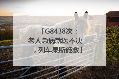 G8438次：老人急病就医不决，列车果断施救