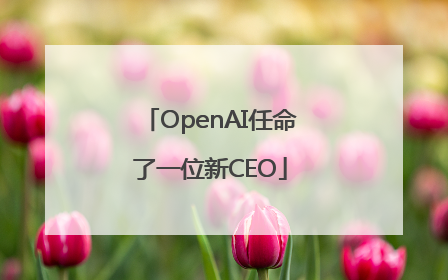 OpenAI任命了一位新CEO