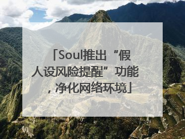 Soul推出“假人设风险提醒”功能，净化网络环境